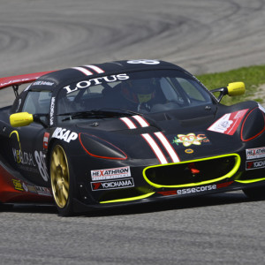 LOTUS CUP