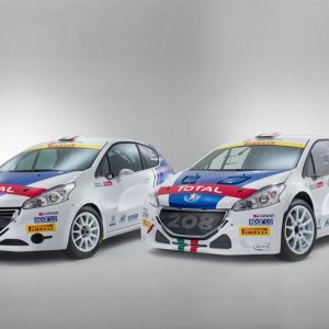 PEUGEOT NEL CIR 2016 A CACCIA DELLA STELLA