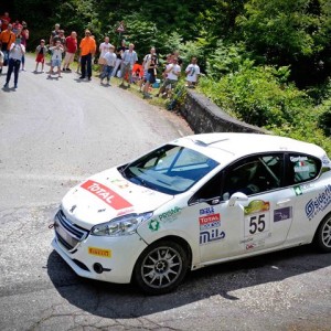 PEUGEOT COMPETITION 2016