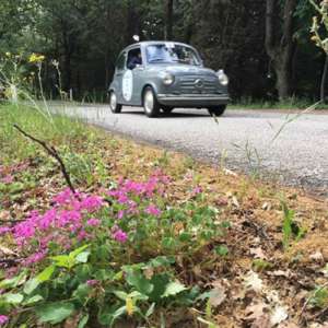 A San Marino in vetta Pierluigi Fortin e Laura Pilè su Fiat 600 del 1957