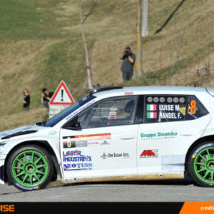 BELLUNESE AMARO PER LUISE, ALLA PRIMA IN SKODA