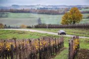 È un Rally del Brunello di quantità e qualità:  119, gli equipaggi iscritti alla gara