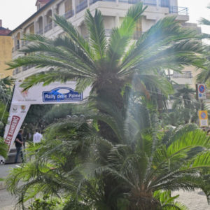 Il 26° Rally delle Palme: tutti al lavoro